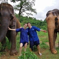 Private Elephant Care and Sanctuary + White Water Rafting + Doi Suthep temple.