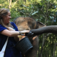 Private Half day Afternoon Elephant Sanctuary + long neck village + Free transfer to the Tiger Kingdom.