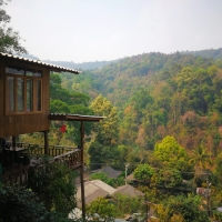 2 Days 1 Night Elephant Sanctuary + Stunning Chiang Dao Non touristic area + The Tree House + Sticky Waterfall.