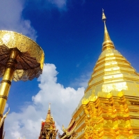 Doi Suthep Temple + Umong Temple + Baan Khang Wat. Chiang Mai Tours