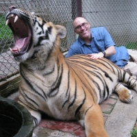 Big tiger!  www.chiangmaitourcenter.com