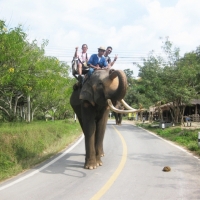 Elephant Riding at Lampang Elephant Conservation Center . www.chiangmaitourcenter.com