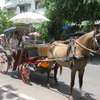 Horse Carriage Ride in Lampang.  www.chiangmaitourcenter.com