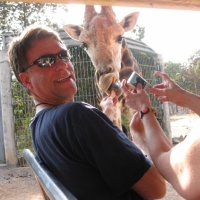 Feding the giraffe in Chiang Mai Night Safari.  www.chiangmaitourcenter.com