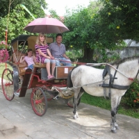 Horse carriage ride in Lampang. www.chiangmaitourcenter.com