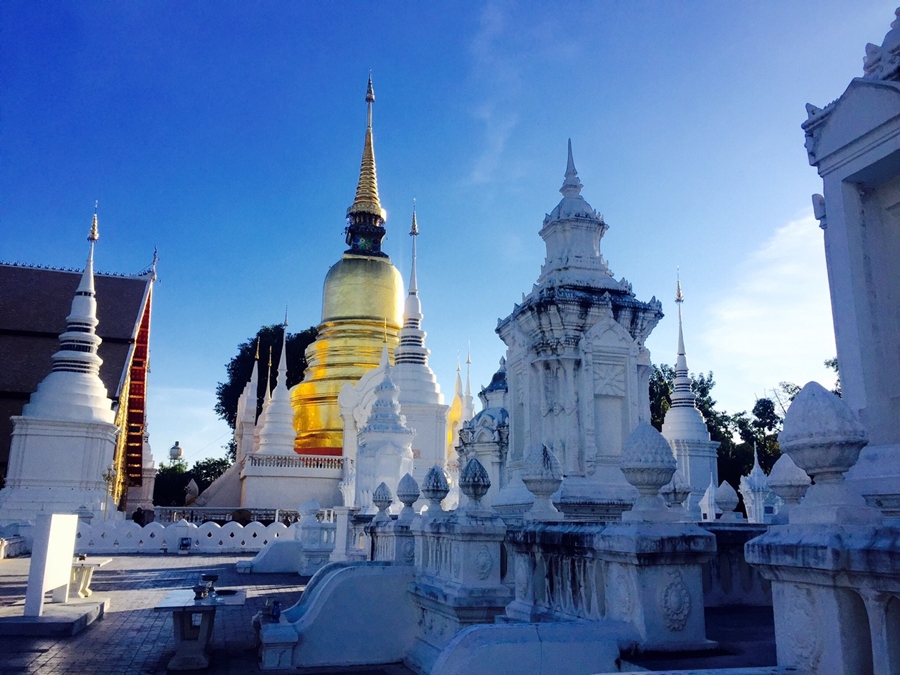 Wat  Suan Dork or Royal garden Temple