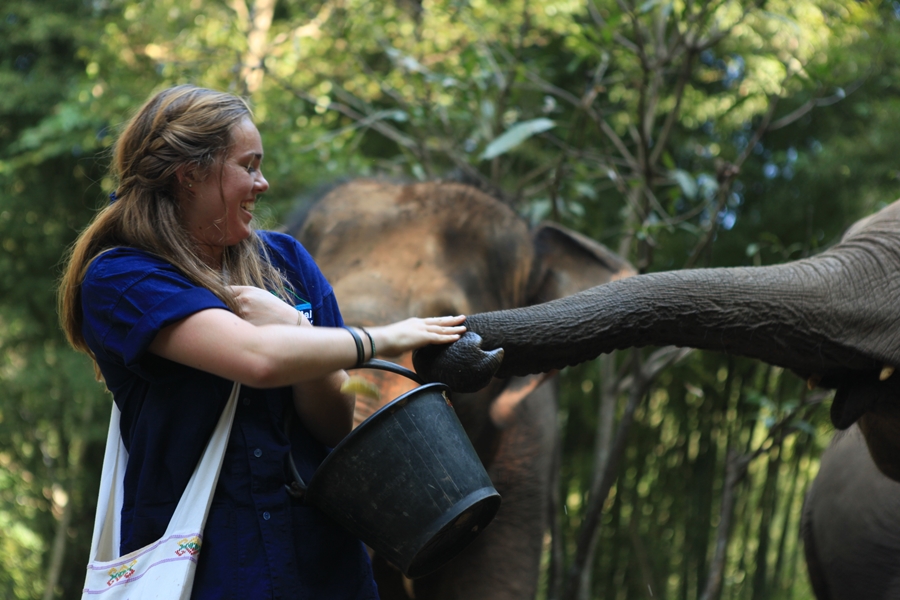 Private Half day Afternoon Elephant Sanctuary + long neck village + Free transfer to the Tiger Kingdom.
