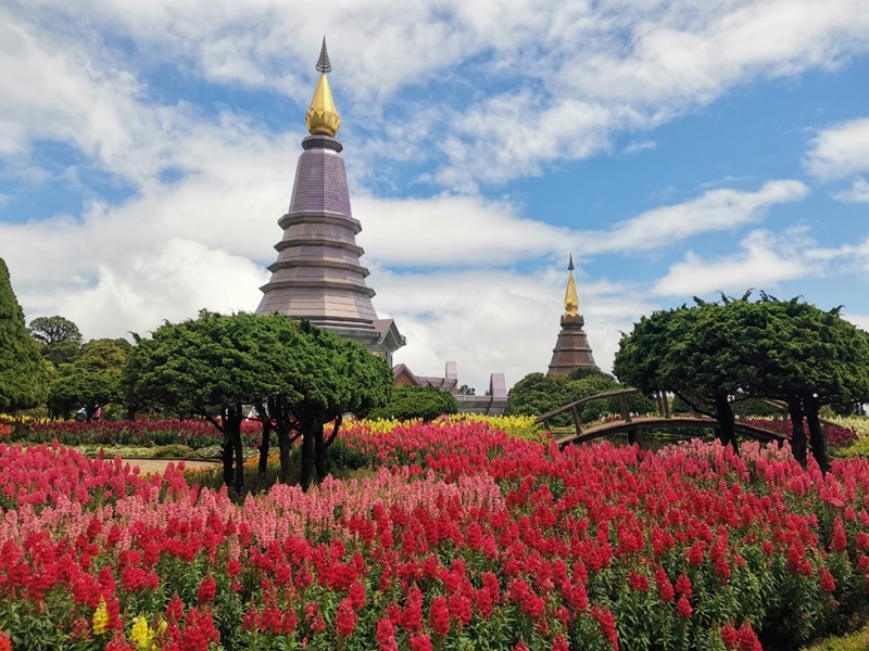 Doi Inthanon national Park