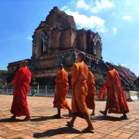 5 Days 4 Nights Bangkok to Chiang Mai Tours.