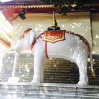 Doi Suthep temple.