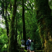 Doi Inthanont tour