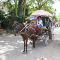 Horse carriage n Wiang Kumkam, Chiang Mai. www.chiangmaitourcenter.com