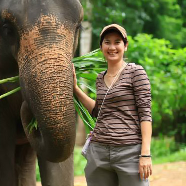 Chiang Mai tour Center